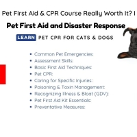 Is a 4-Hour Pet First Aid &amp; CPR Course Really Worth It? I Think So!